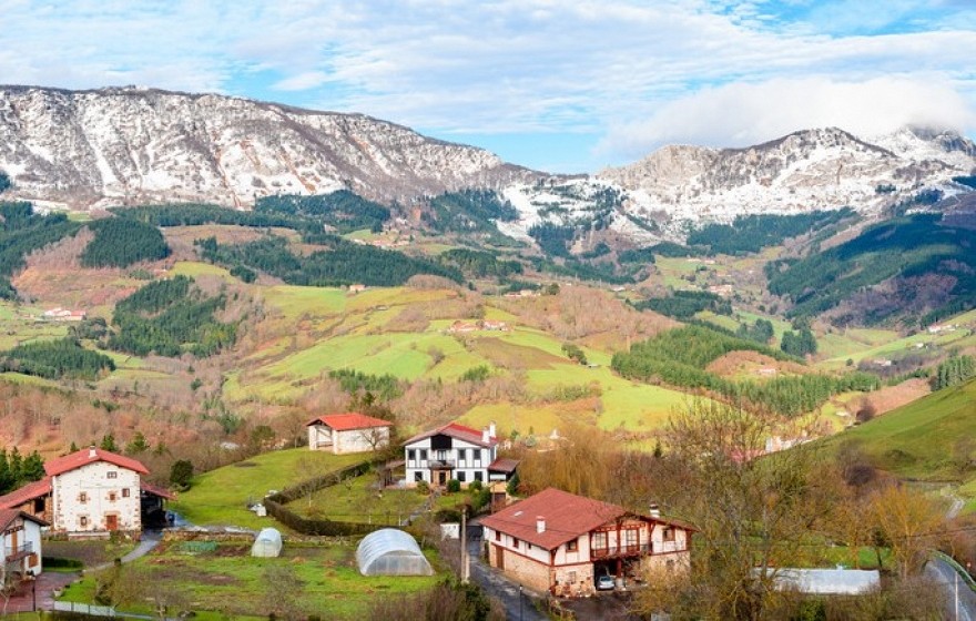 Evento online - Empleabilidad Rural: Experiencias de Inclusión