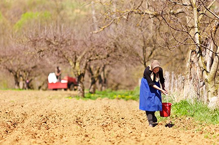 Highlighting social and labour problems in rural areas